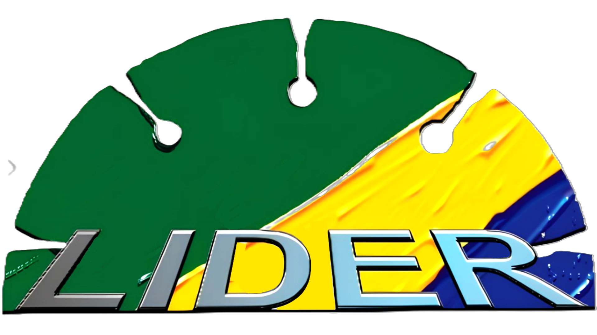 lider logo final s fundo.PNG